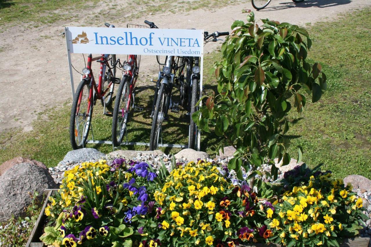 צמפין Haus Schwalbe Mit Vineta Komfort Haeusern מראה חיצוני תמונה
